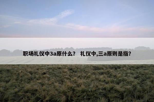 职场礼仪中3a原什么？ 礼仪中,三a原则是指？
