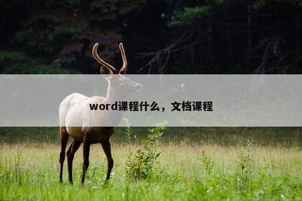 word课程什么，文档课程