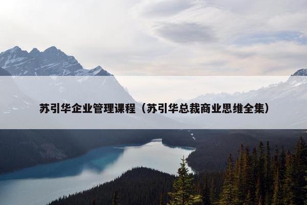 苏引华企业管理课程（苏引华总裁商业思维全集）