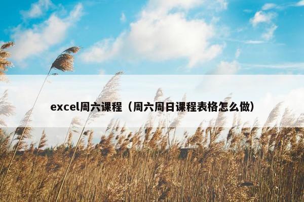 excel周六课程（周六周日课程表格怎么做）