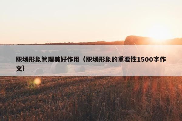 职场形象管理美好作用（职场形象的重要性1500字作文）