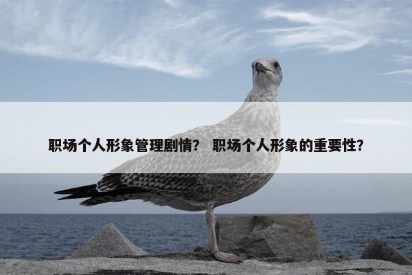 职场个人形象管理剧情？ 职场个人形象的重要性？