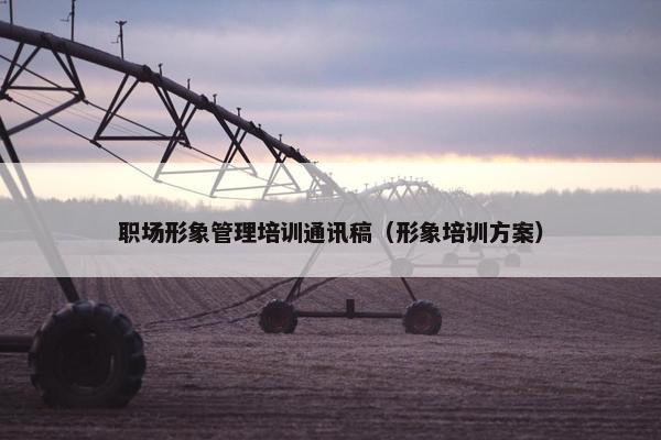 职场形象管理培训通讯稿（形象培训方案）