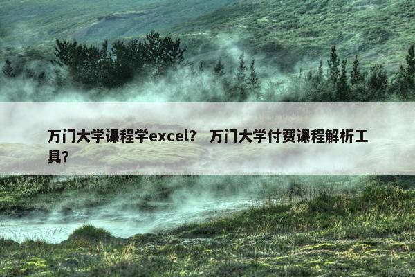 万门大学课程学excel？ 万门大学付费课程解析工具？