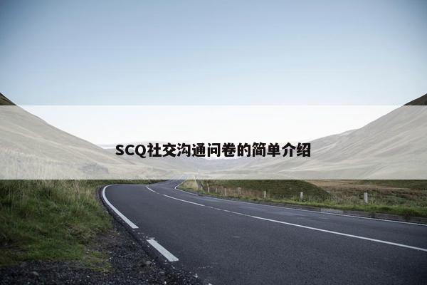 SCQ社交沟通问卷的简单介绍