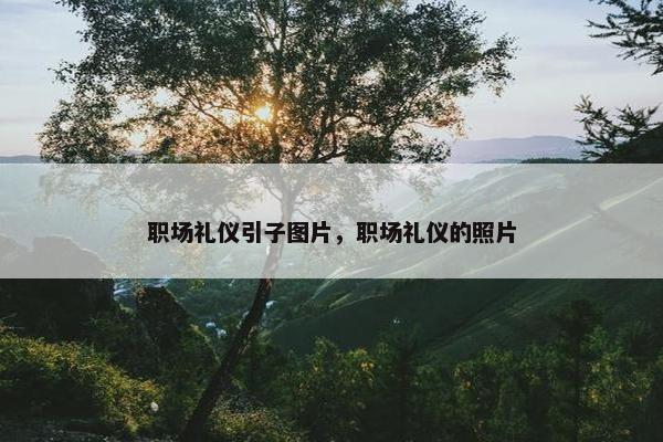 职场礼仪引子图片，职场礼仪的照片