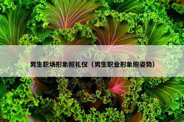男生职场形象照礼仪（男生职业形象照姿势）