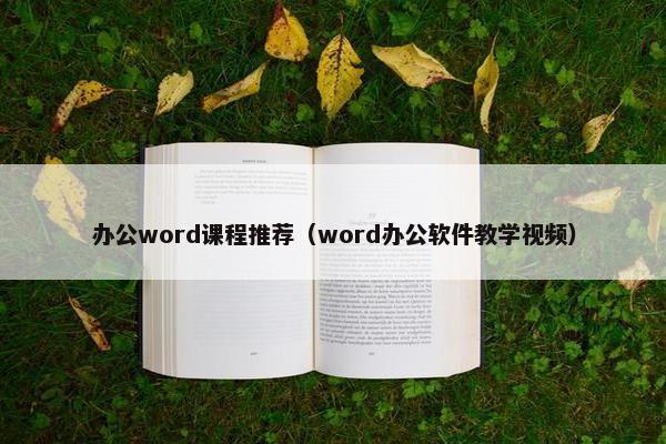 办公word课程推荐（word办公软件教学视频）