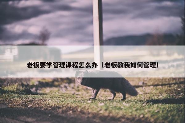 老板要学管理课程怎么办（老板教我如何管理）