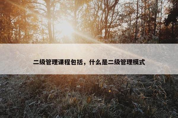 二级管理课程包括，什么是二级管理模式