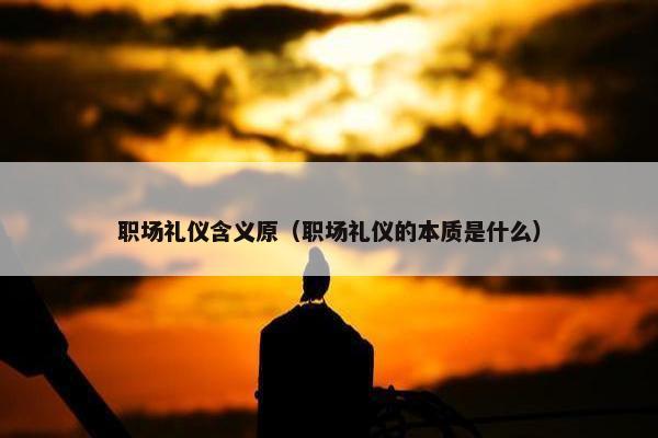 职场礼仪含义原（职场礼仪的本质是什么）