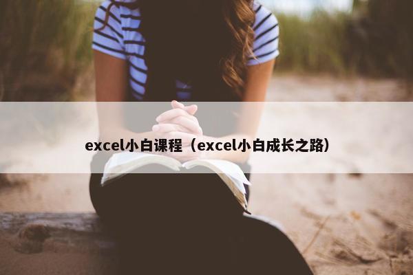 excel小白课程（excel小白成长之路）