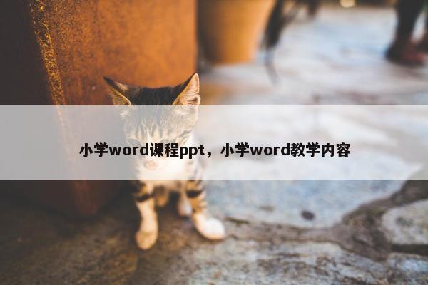 小学word课程ppt，小学word教学内容