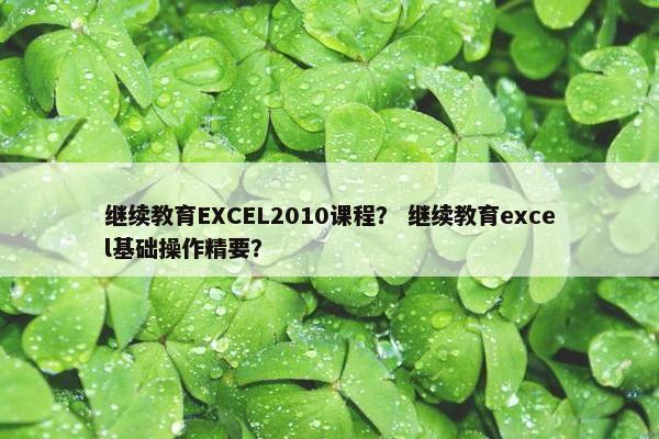 继续教育EXCEL2010课程？ 继续教育excel基础操作精要？