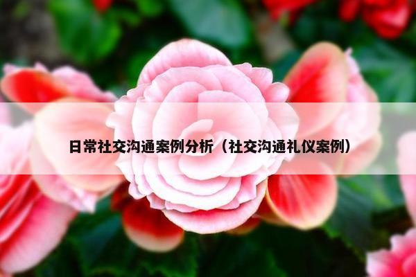 日常社交沟通案例分析（社交沟通礼仪案例）