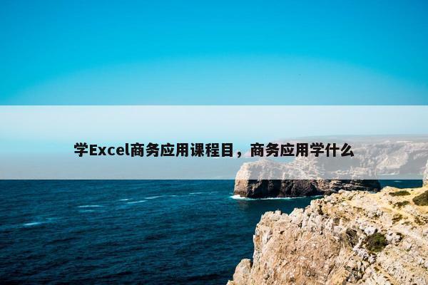 学Excel商务应用课程目，商务应用学什么