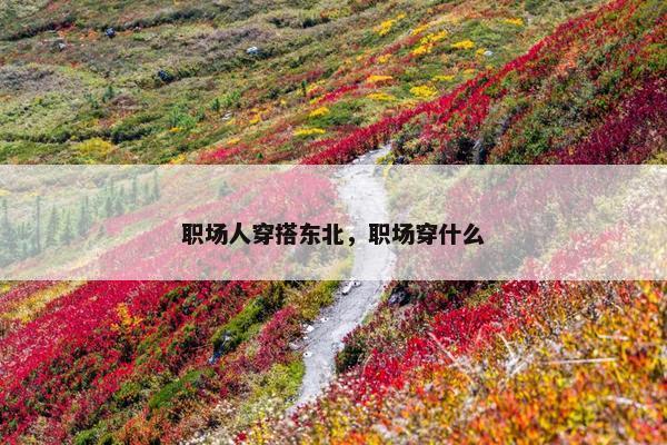 职场人穿搭东北，职场穿什么