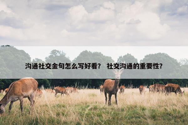 沟通社交金句怎么写好看？ 社交沟通的重要性？