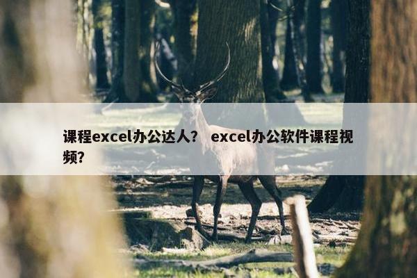 课程excel办公达人？ excel办公软件课程视频？