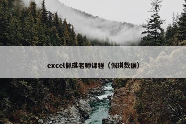 excel佩琪老师课程（佩琪数据）