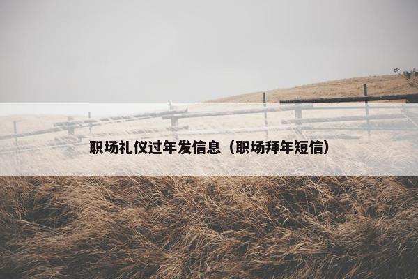 职场礼仪过年发信息（职场拜年短信）