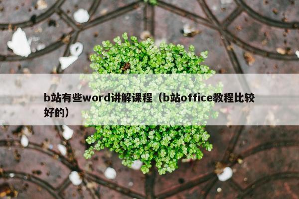 b站有些word讲解课程（b站office教程比较好的）