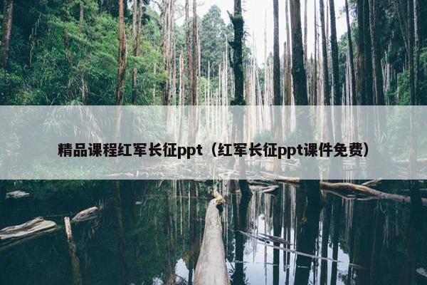 精品课程红军长征ppt（红军长征ppt课件免费）
