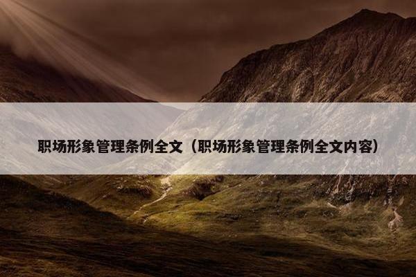 职场形象管理条例全文（职场形象管理条例全文内容）