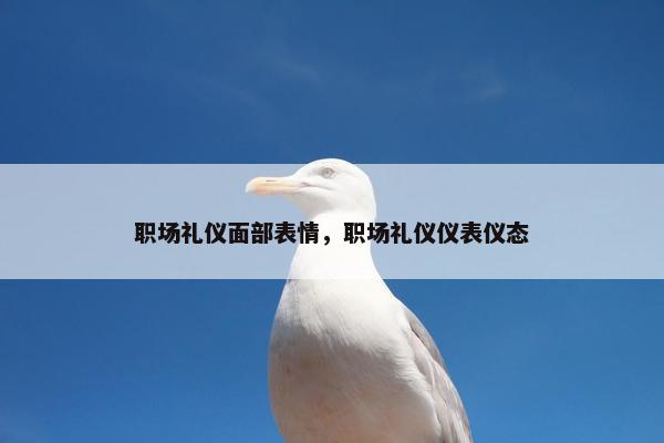 职场礼仪面部表情，职场礼仪仪表仪态