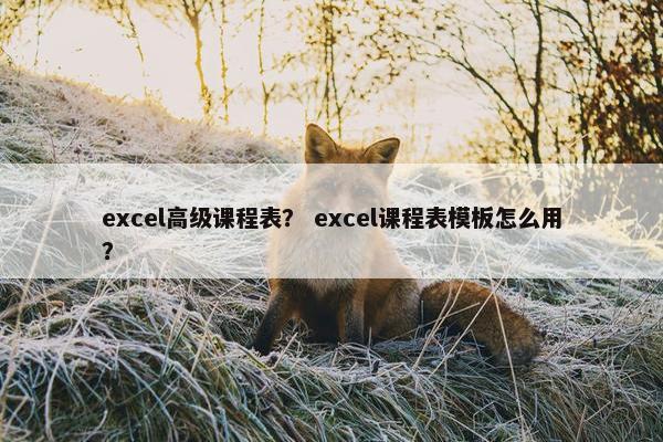 excel高级课程表？ excel课程表模板怎么用？
