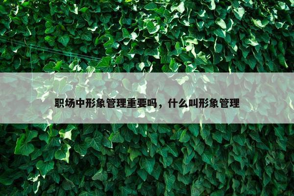 职场中形象管理重要吗，什么叫形象管理