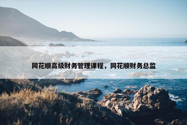 同花顺高级财务管理课程，同花顺财务总监