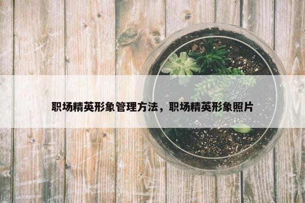 职场精英形象管理方法，职场精英形象照片