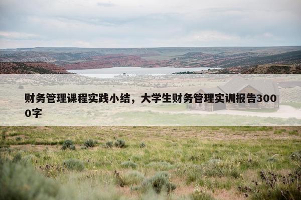 财务管理课程实践小结，大学生财务管理实训报告3000字