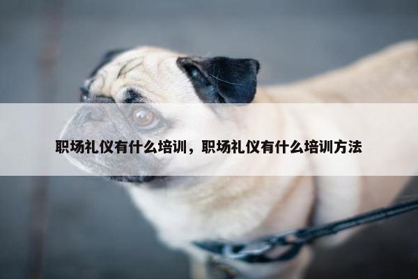 职场礼仪有什么培训，职场礼仪有什么培训方法