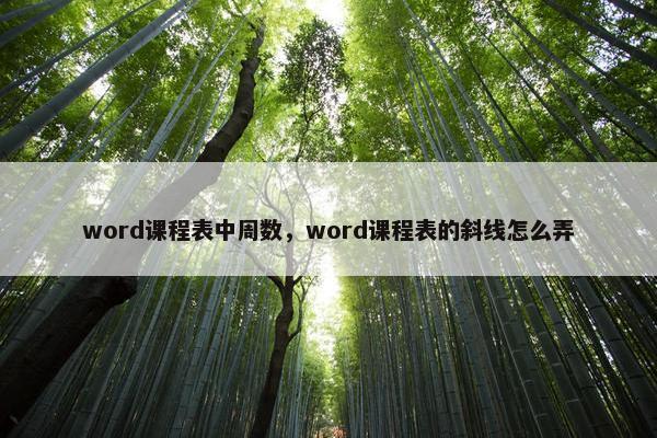 word课程表中周数，word课程表的斜线怎么弄