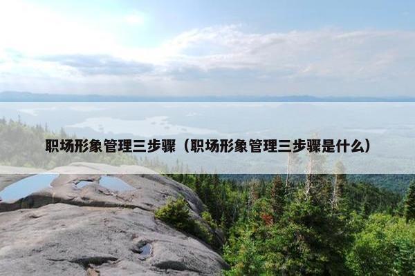 职场形象管理三步骤（职场形象管理三步骤是什么）