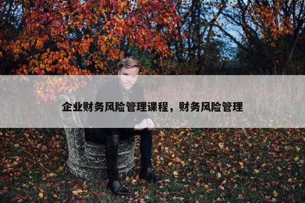 企业财务风险管理课程，财务风险管理