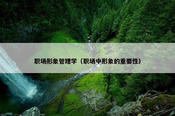 职场形象管理学（职场中形象的重要性）