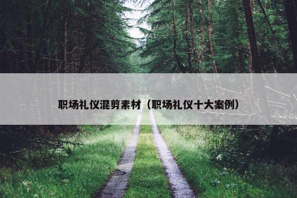 职场礼仪混剪素材（职场礼仪十大案例）