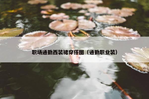 职场通勤西装裙穿搭图（通勤职业装）