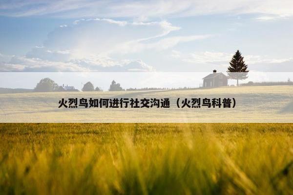 火烈鸟如何进行社交沟通（火烈鸟科普）