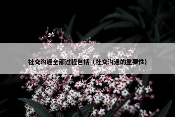 社交沟通全部过程包括（社交沟通的重要性）
