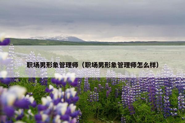 职场男形象管理师（职场男形象管理师怎么样）