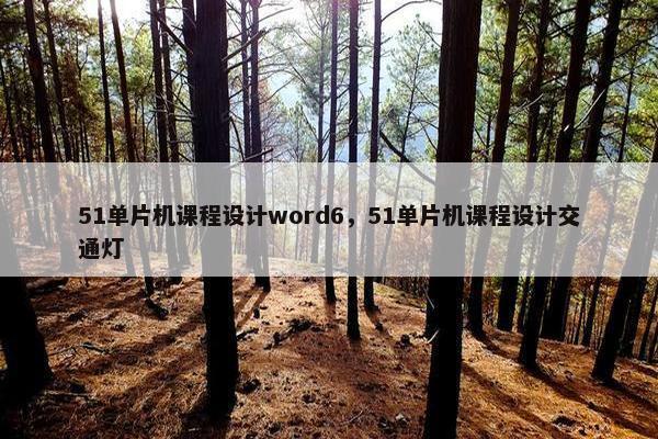 51单片机课程设计word6，51单片机课程设计交通灯