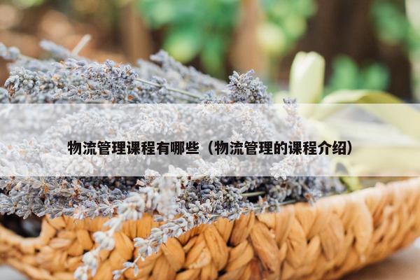 物流管理课程有哪些（物流管理的课程介绍）