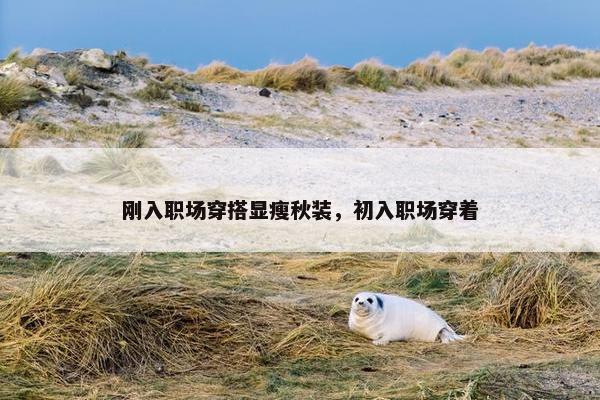刚入职场穿搭显瘦秋装，初入职场穿着