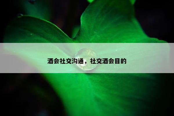 酒会社交沟通，社交酒会目的