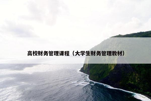 高校财务管理课程（大学生财务管理教材）