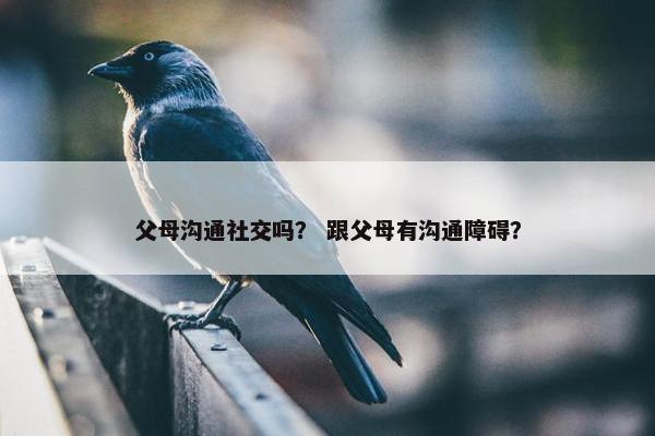 父母沟通社交吗？ 跟父母有沟通障碍？